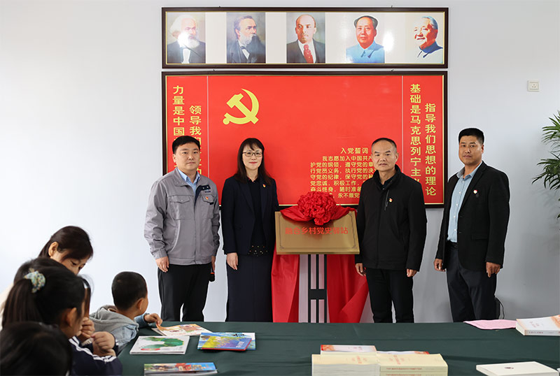 ��������(�й���)���޹�˾����