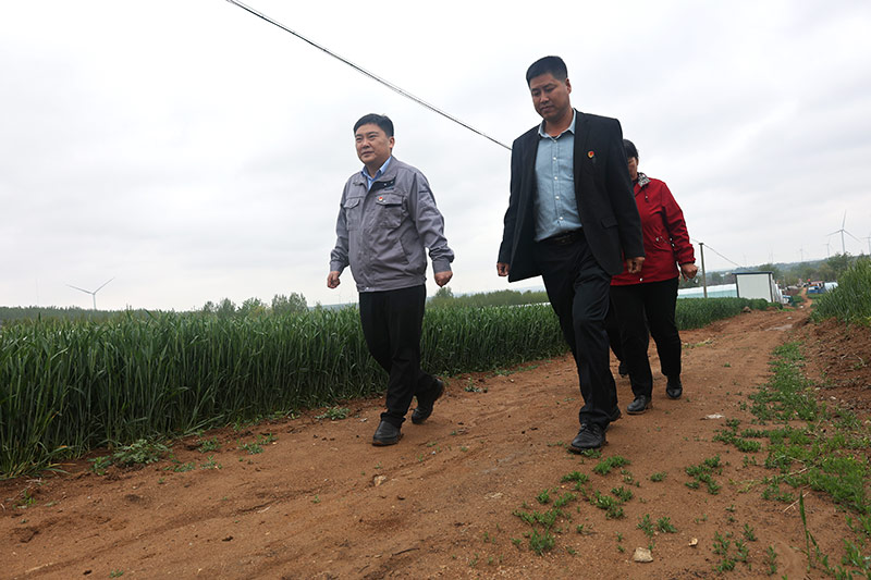 ��������(�й���)���޹�˾����