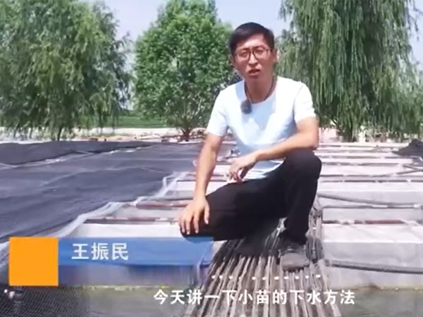 云顶国际幼苗的下水步骤