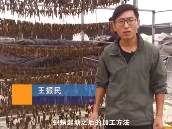 云顶国际加工步骤