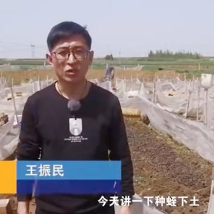 种蛭下土当苦衷项