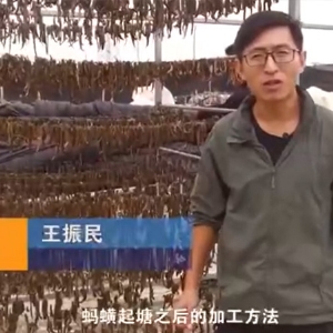 云顶国际加工步骤